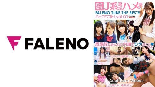 406FTHT-150 Masterpiece carefully selected! J System Back Dirt Gonzo FALENO TUBE Half Best! vol.01