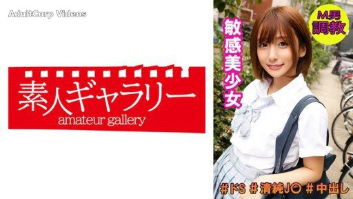 739SMTC-001 An-chan