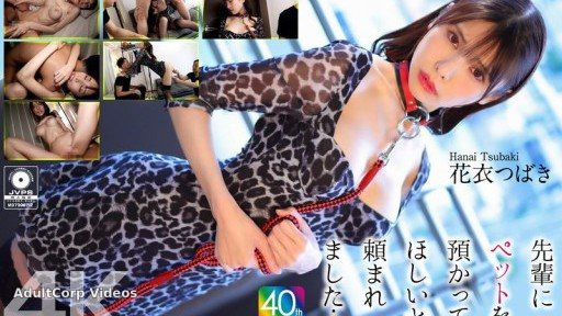 CRNX-254 My senior asked me to take care of his pet… Hanagoromo Tsubaki
