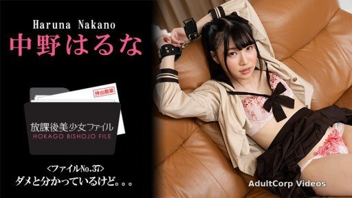 HEYZO-3044 Beautiful Girl’s After School Life No.37 -I Know I Shouldn’t…-
